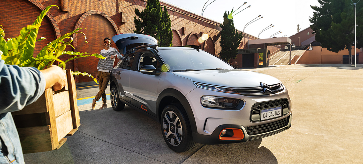 C4 CACTUS FEEL AT 