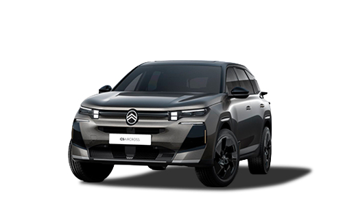 Gris Platinium
